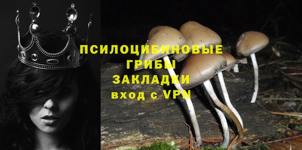 кокс Усинск